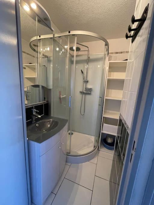 Superbe Appartement 6 Personnes Avec Piscine Secteur Richelieu, A 400M De La Plage Et A 650M Du Centre Port Agde Exteriör bild